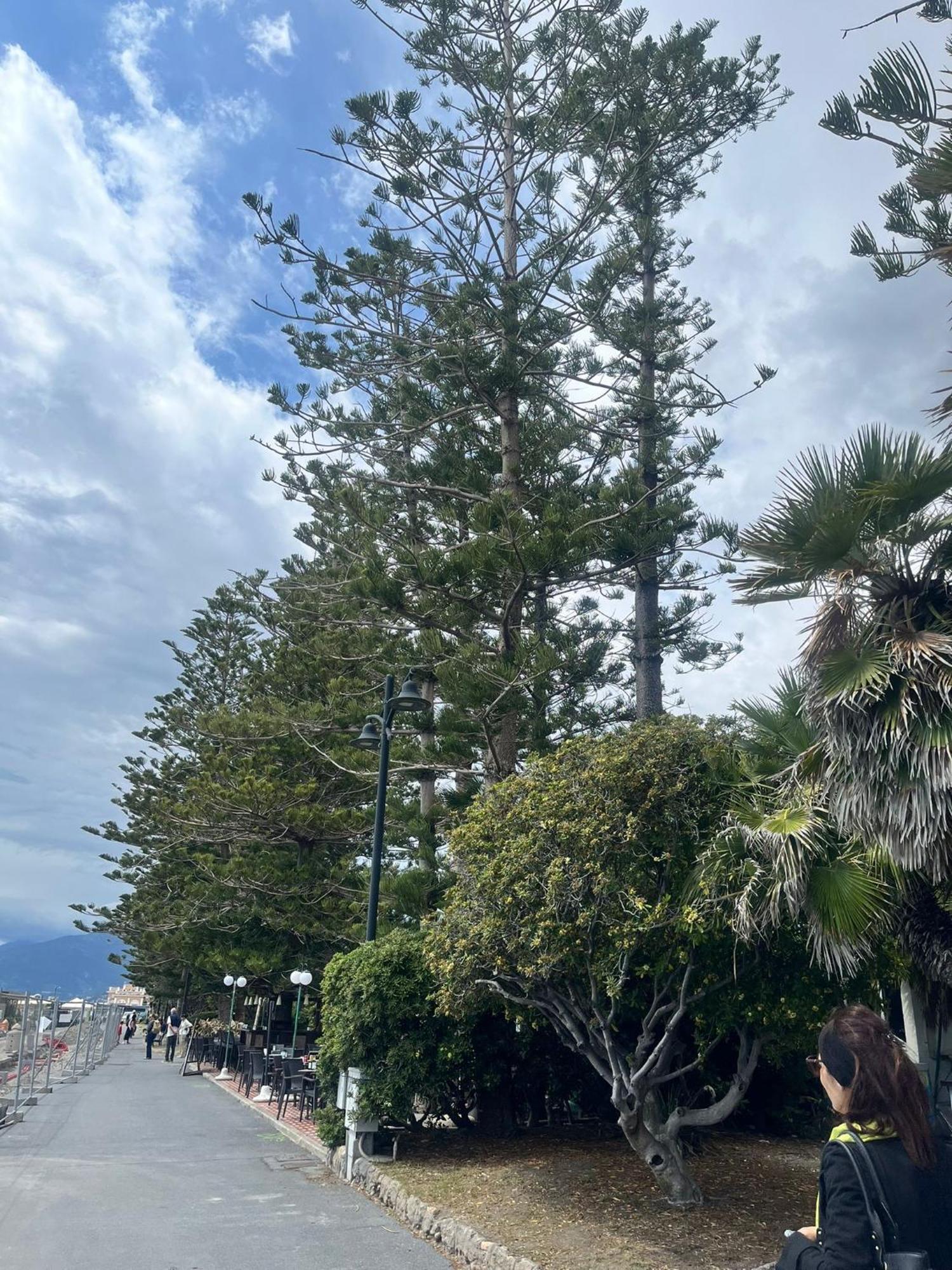 Casa Vacanza! A 50M Dal Mare! Bordighera Exterior foto